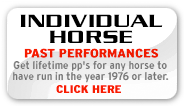 Individual Horse